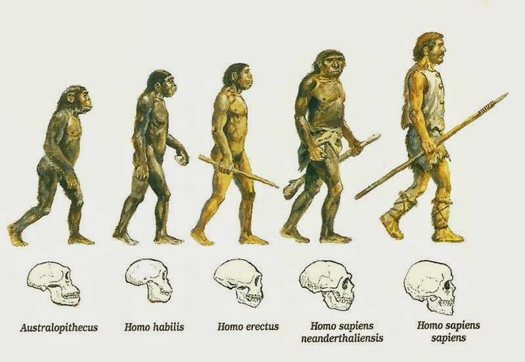 Chronological vs. Biological Age: Why Your Birthday Doesn’t Tell the Whole Story